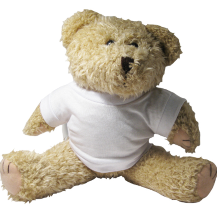 Soft Toy - Shaggy Bear Thumbnail