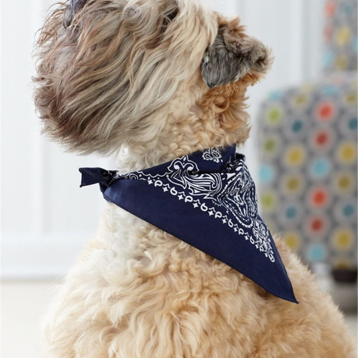 Pet Wear Thumbnail