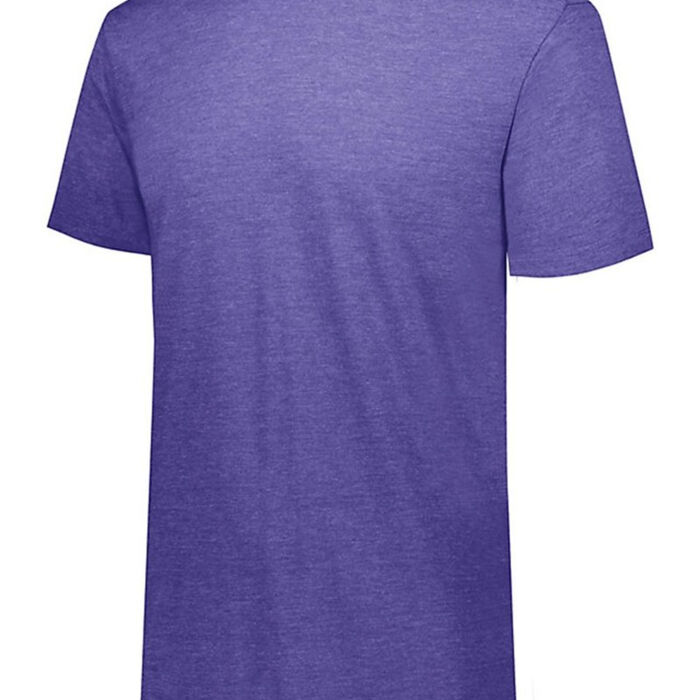 Triblend Short Sleeve T-Shirt Thumbnail