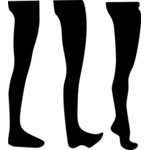 Leg Thumbnail