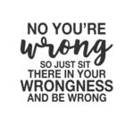 No Your Wrong  Thumbnail