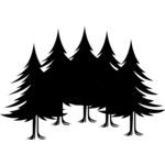 pine trees Thumbnail