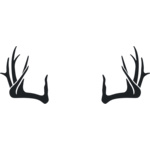 antlers Thumbnail