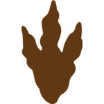 footprint1 Thumbnail