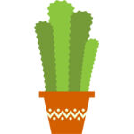 cactus 7 Thumbnail
