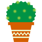 cactus 5 Thumbnail