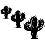 cactus Thumbnail