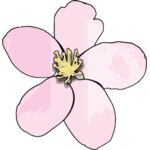 pink apple blossom md Thumbnail