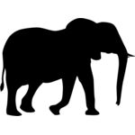 elephant Thumbnail