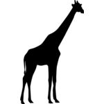 giraffe Thumbnail