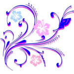 th2PYSBHJB Thumbnail