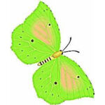 thRW766DTW Thumbnail