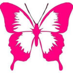 th7MD43EAY Thumbnail