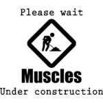 musclesconstruction Thumbnail