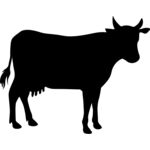 cow Thumbnail