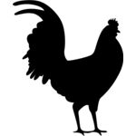 rooster 2 Thumbnail