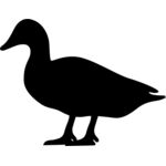 duck Thumbnail