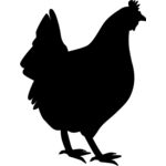 chicken Thumbnail