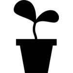seedling Thumbnail