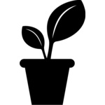 pot2 Thumbnail