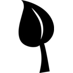 leaf Thumbnail