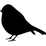 bird Thumbnail