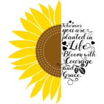 sunflower quote 1 a Thumbnail