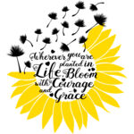 dandelion sunflower Thumbnail