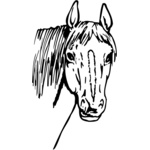 Horses Thumbnail