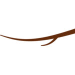 Safari theme elements Thumbnail